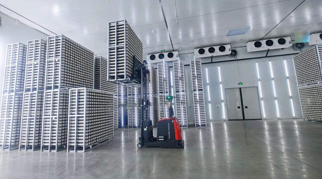 自动化仓储案例集 | 无人叉车自动搬运多层堆叠，提升仓储库容率